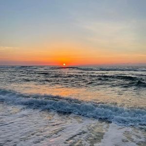 Meet your Posher, Audrey